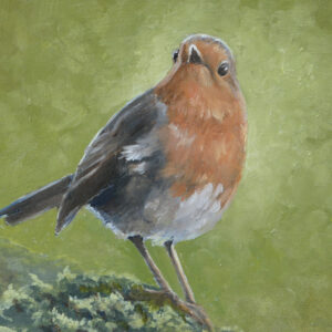 robin perched on a branch, oils