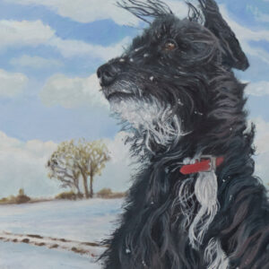 pet portrait of rosie in the snow