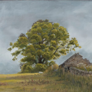 tree and sheep shed catching sun in-between stormy clouds